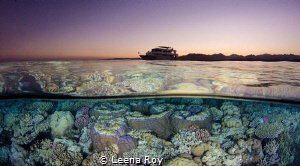 Red Sea split by Leena Roy 